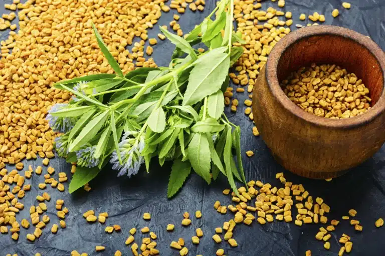 Fenugreek